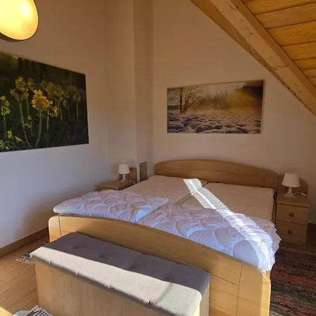 Komforna Planinska Kuca Za Odmor Chalet Mrkopalj